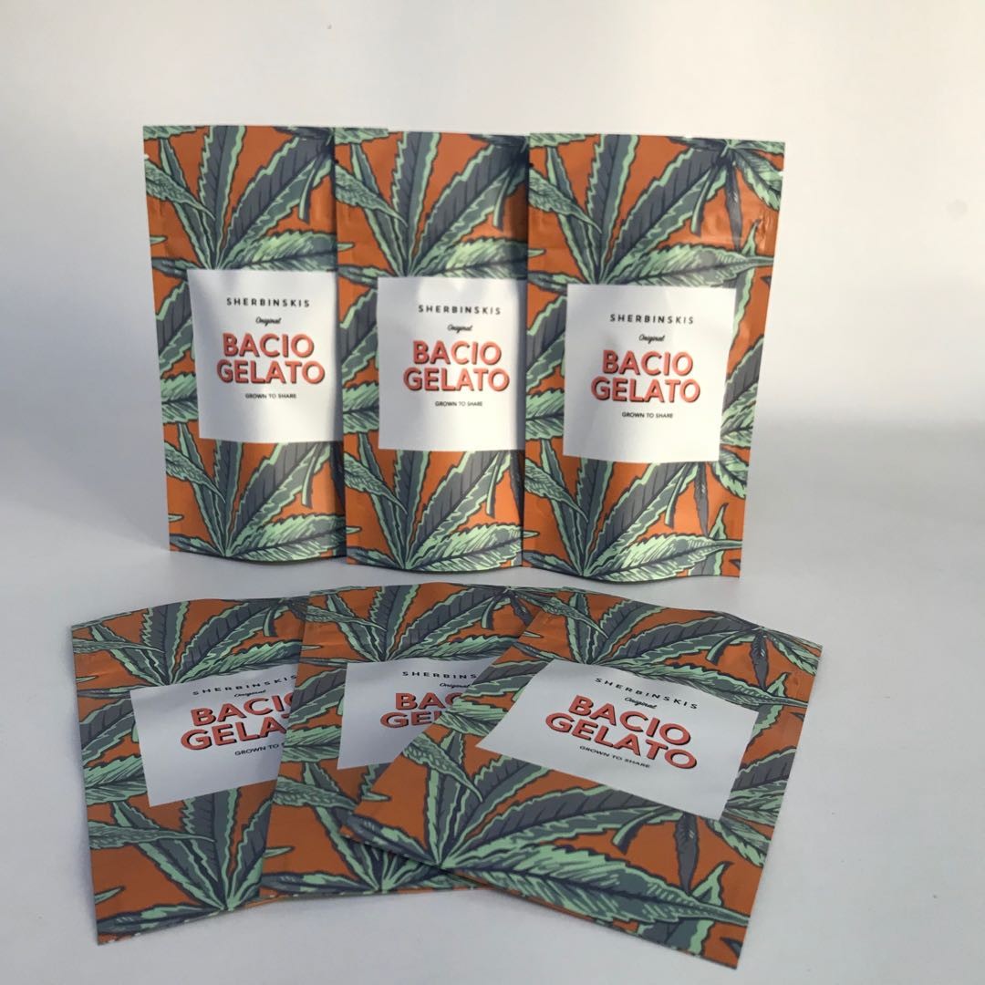 子供の証拠のジッパーが付いている粘着性の包装袋を立てなさい